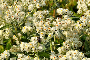 Similar image 21980006