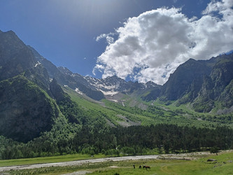 Similar image 21978580