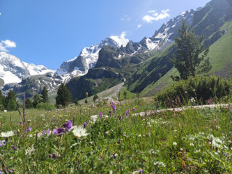 Similar image 21978581