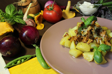 Similar image 21980284