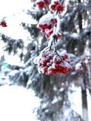 Similar image 21989419