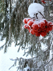 Similar image 21989420