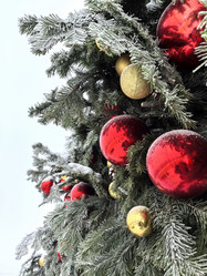 Similar image 21989421