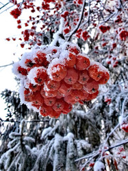 Similar image 21989423