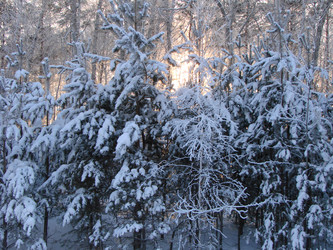 Similar image 21980027