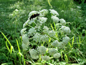 Similar image 21980029