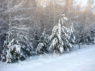 Similar image 21980031