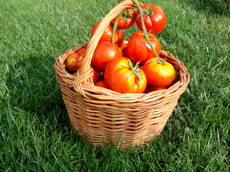 Similar image 21980034