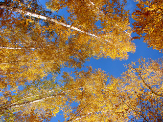 Similar image 21980037