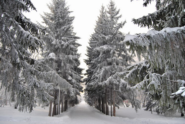 Similar image 21980059