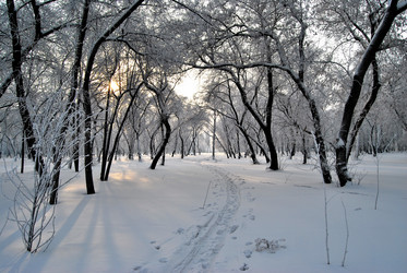 Similar image 21980060