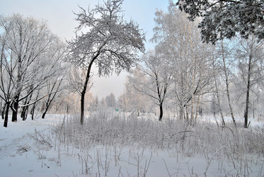 Similar image 21980061