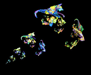 Similar image 21986400