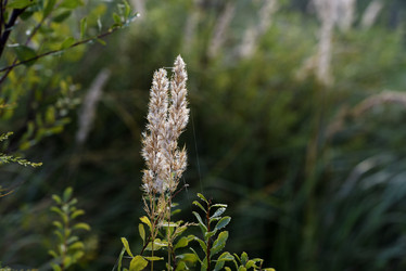 Similar image 21980078