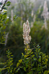 Similar image 21980079