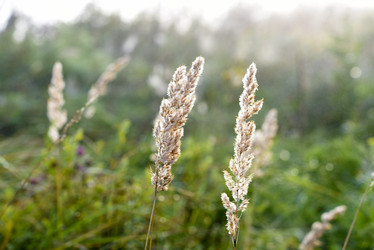 Similar image 21980080