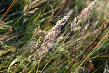 Similar image 21980082