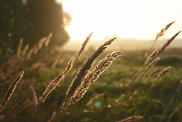 Similar image 21980084