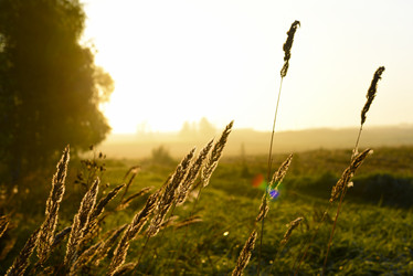 Similar image 21980086