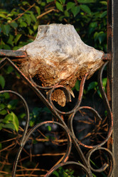 Similar image 21980096