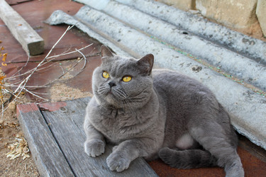 Similar image 21986154