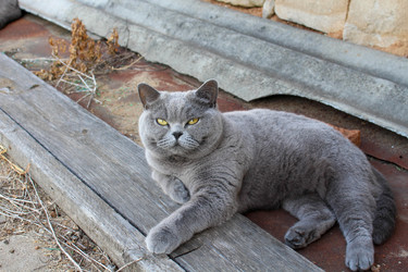 Similar image 21986155