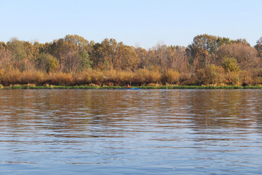 Similar image 21986157