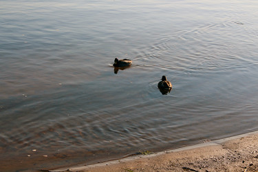 Similar image 21986165