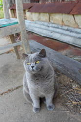 Similar image 21986166