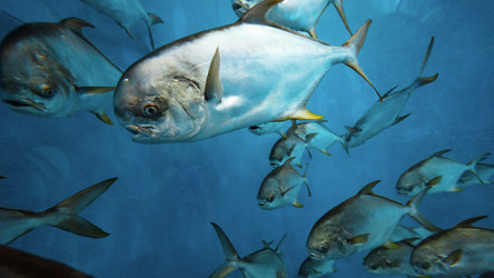 Similar image 21990396