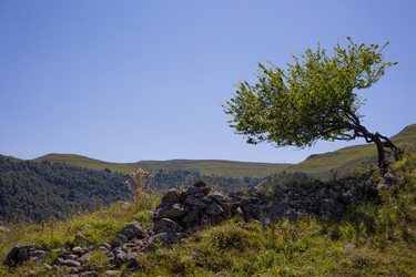 Similar image 21990398