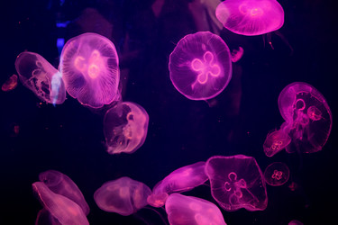 Similar image 21990399