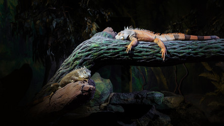 Similar image 21990402