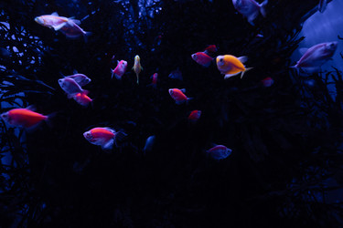 Similar image 21990173