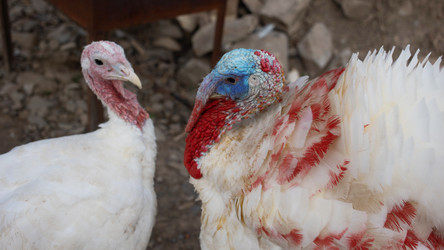 Similar image 21990176