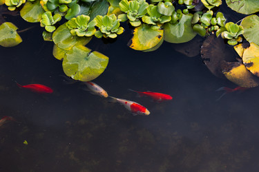 Similar image 21990177