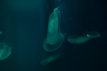 Similar image 21990178