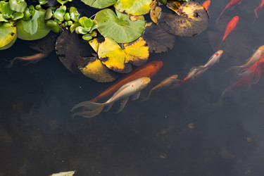 Similar image 21990179