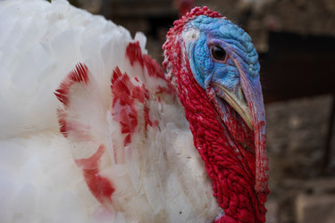 Similar image 21990180