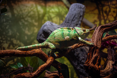 Similar image 21990185