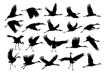 Similar image 21989424