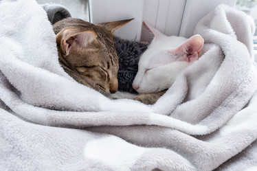 Similar image 21987982