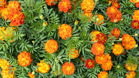 Similar image 21987985