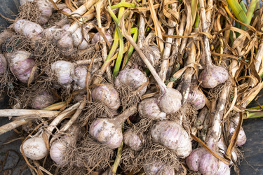 Similar image 21987986