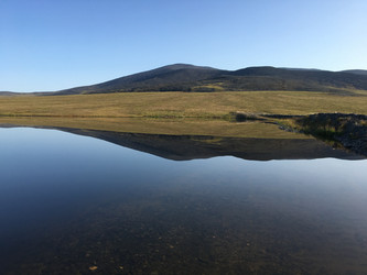 Similar image 21980101