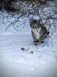 Similar image 21986170