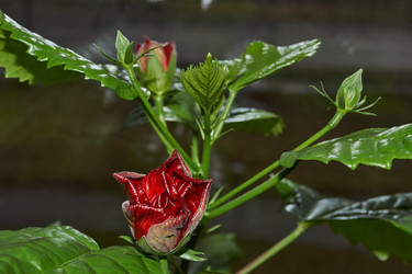 Similar image 21986022