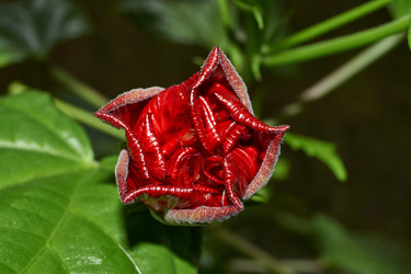 Similar image 21986023