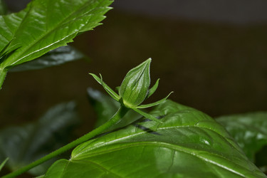 Similar image 21986024