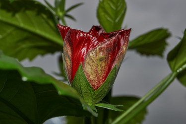 Similar image 21986025